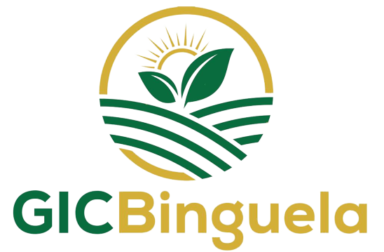 GIC BINGUELA